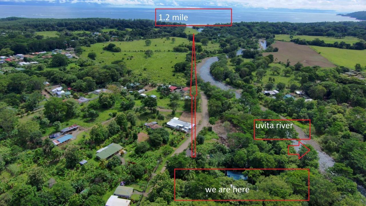 Uvita river guesthouse Extérieur photo